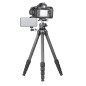 Ranger LS-255C + Ballhead LH-30 Ranger LS-255C + Ballhead LH-30