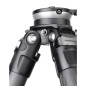 Ranger LS-284CEX Ranger LS-284CEX