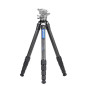 Ranger LS-285CEX Ranger LS-285CEX