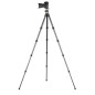 Ranger LS-285CEX Ranger LS-285CEX