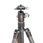 Urban LX-284CT + Ballhead XB-38
