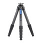 Ranger LS-365CEX Ranger LS-365CEX