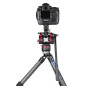 Ranger LS-365CEX Ranger LS-365CEX