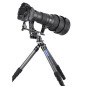 Ranger LS-365CEX Ranger LS-365CEX
