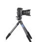 Ranger LS-365CEX Ranger LS-365CEX