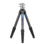 Ranger LS-365CEX Ranger LS-365CEX
