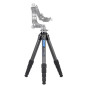 Ranger LS-365CEX Ranger LS-365CEX
