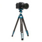 TCBC15FS30 Cyanbird Carb Tripod + FS30 Head TCBC15FS30 Cyanbird Carb Tripod + FS30 Head