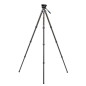 TTOR34CLVS4PRO Tortoise tripod kit