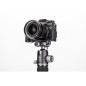 FRHN24CVX25 tripod Rhino 24C + VX25 Kit FRHN24CVX25 tripod Rhino 24C + VX25 Kit