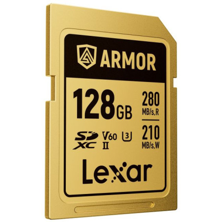 SDXC Pro Gold Series ARMOR UHS-II 128GB V60 IP68 Stainless Steel R280/W210MB/s