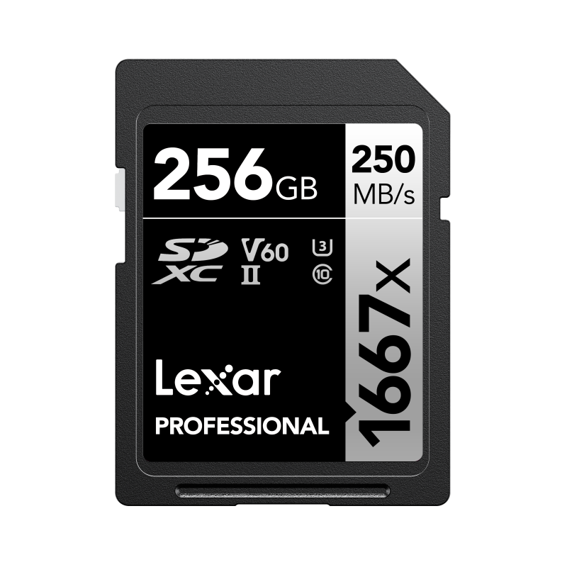 SD Pro Silver Series UHS-II 1667x 256GB V60