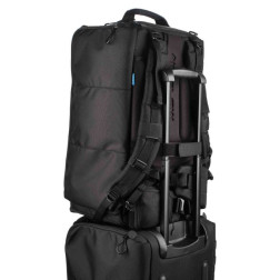 Cineluxe v2 Backpack 24 - Black