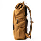 FocusPoint 30L Golden Hour