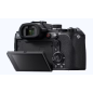 RX10 V bridge expert 4K RX10 V bridge expert 4K