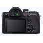 RX10 V bridge expert 4K RX10 V bridge expert 4K