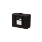 Air Case for Eizo ColorEdge or Flexscan 24-inch (RS-E22)