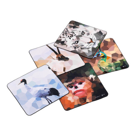 6044 Wild China Film Series Camera Wrap 5-in-1 Set