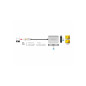 Diviseur USB Type-C (Mode DP Alt) 1 HDMI + 1 VGA Diviseur USB Type-C (Mode DP Alt) 1 HDMI + 1 VGA