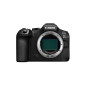 EOS-R6 Mark III