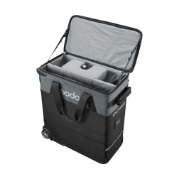 Carry Bag for P300R/P600Bi Hard/P600R Hard