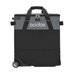   Carry Bag for P300R/P600Bi Hard/P600R Hard