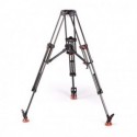 System Video S20 carbone charge max 28kg Sachtler