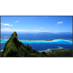 Ecran LCD - SQ1W - 98" (249cm) 4K Panasonic