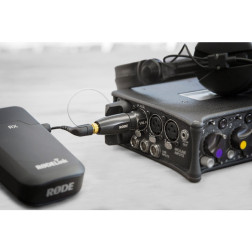VXL- Plus XLR3 male vers mini Jack 3.5 TRS Rode
