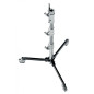 Pied Roller 12 Pied Roller 12