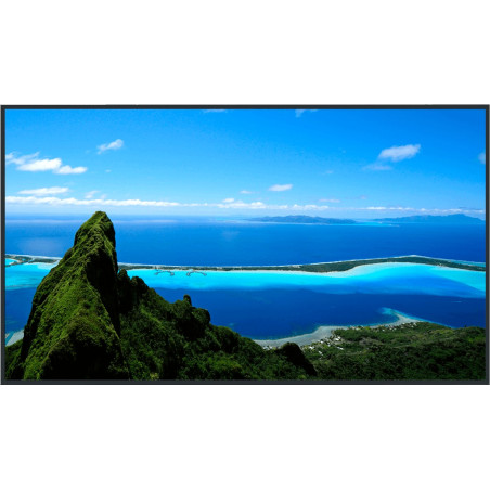 Ecran LCD - SQ1W - 65" (165cm) 4K Panasonic