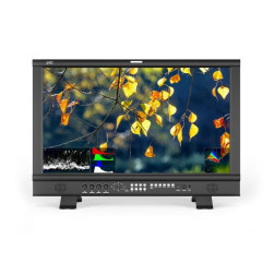 Moniteur studio DT-U24 JVC