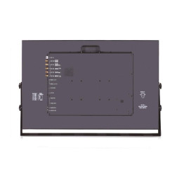 Moniteur studio DT-U31PRO Moniteur de studio natif multi