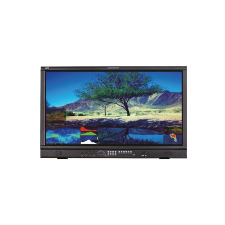 Moniteur studio DT-U31PRO JVC