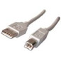 Cordon USB 2.0 Type AB - M/M - 1.8 m Cordon USB 2.0 Type AB - M/M - 1.8 m