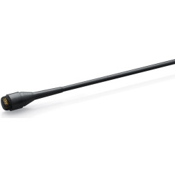 4060 Core micro omni Norm SPL Noir Mini-Jack DPA