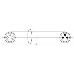 Symétrique Rean - XLR mâle/XLR femelle - 2.5m Symétrique